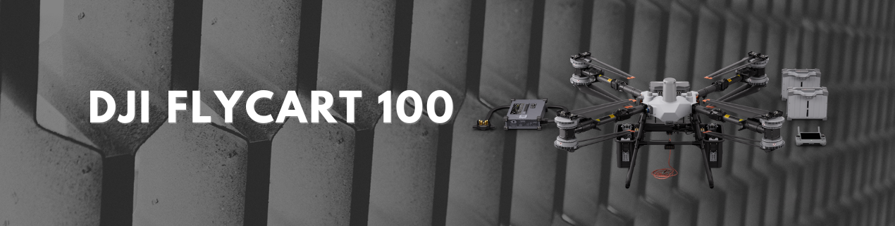 DJI FlyCart 100